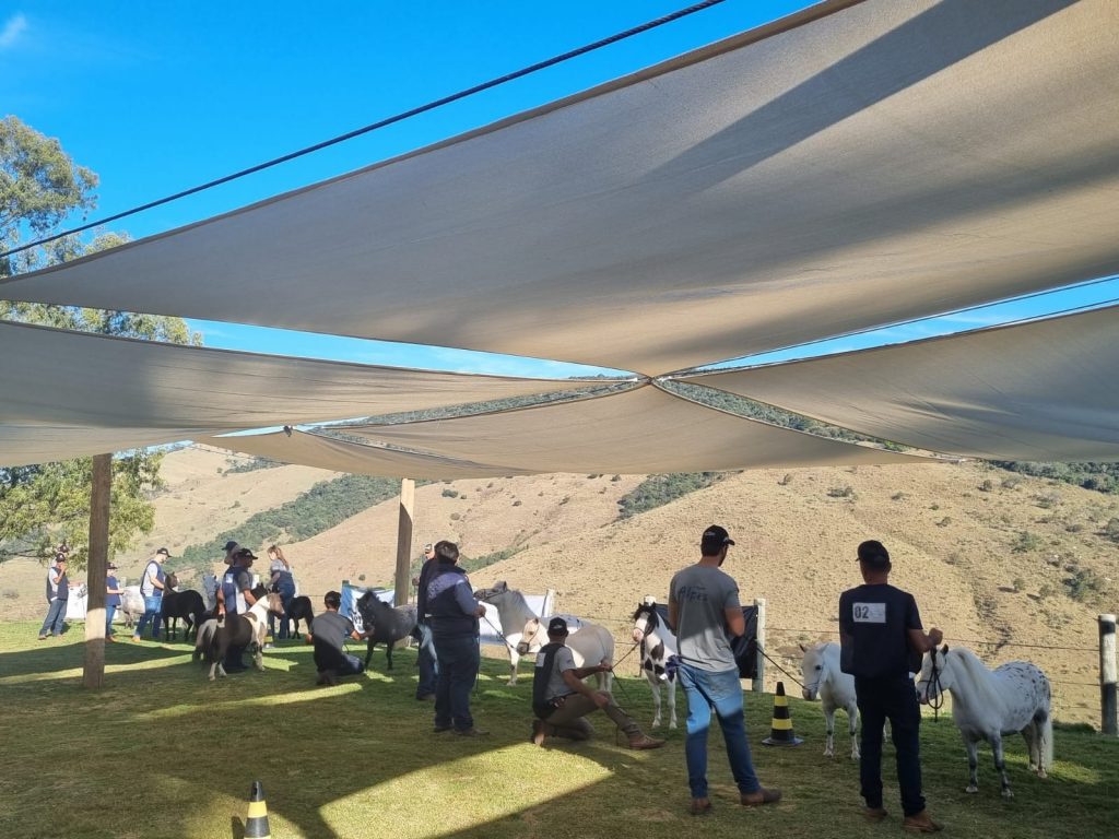 0f562f94-1a35-486a-aed8-9458929083e4