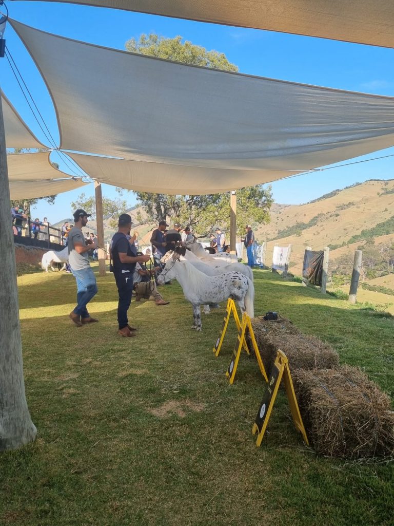 3416800d-6afe-4c2c-8d87-ccd240b00cd0