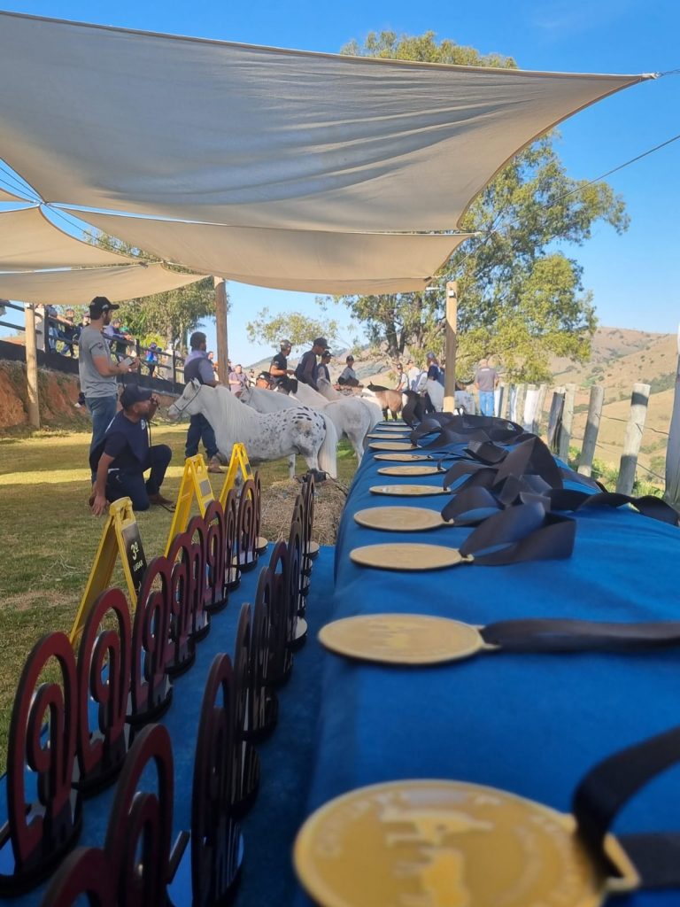 3e0abfa7-ee28-4832-b12a-0e026c437b7c