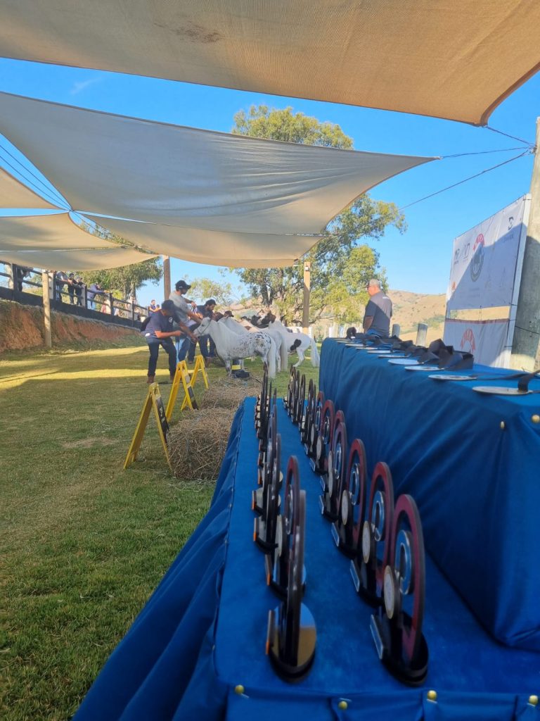 488bb5fa-c7b2-4a94-b0b8-79ee08a2da53