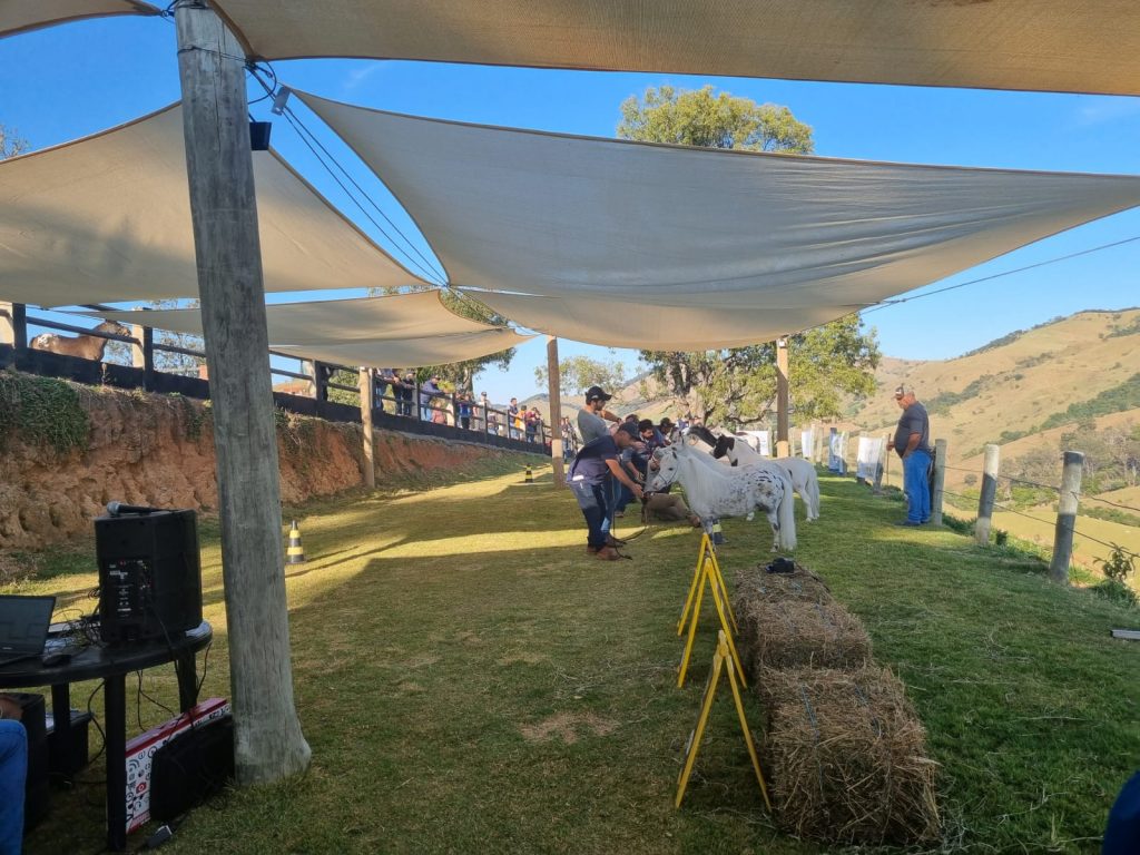 4ed21c58-39bf-486b-b3df-74ce17711770