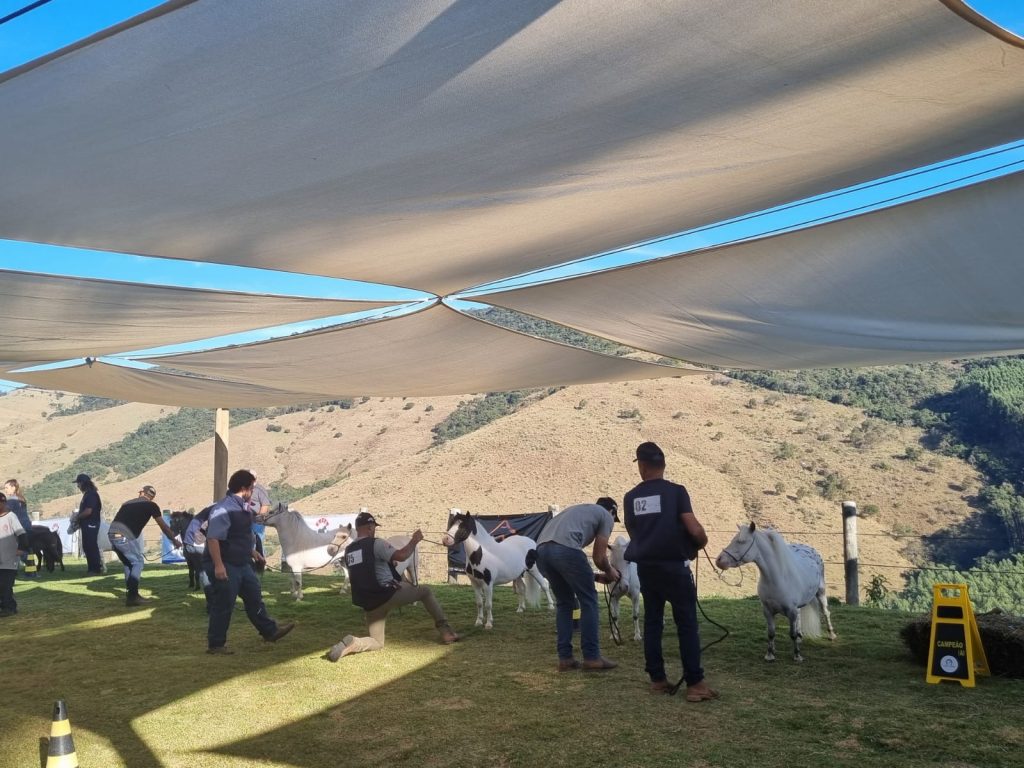 b377fe2b-e824-41ae-af6c-d37013e67cae