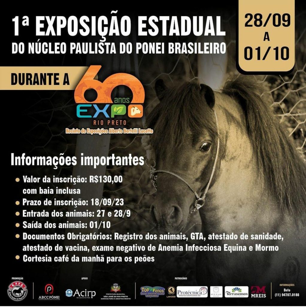 WhatsApp Image 2023-08-23 at 08.47.53