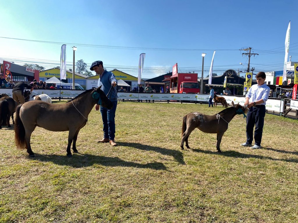 WhatsApp Image 2023-08-30 at 14.05.53