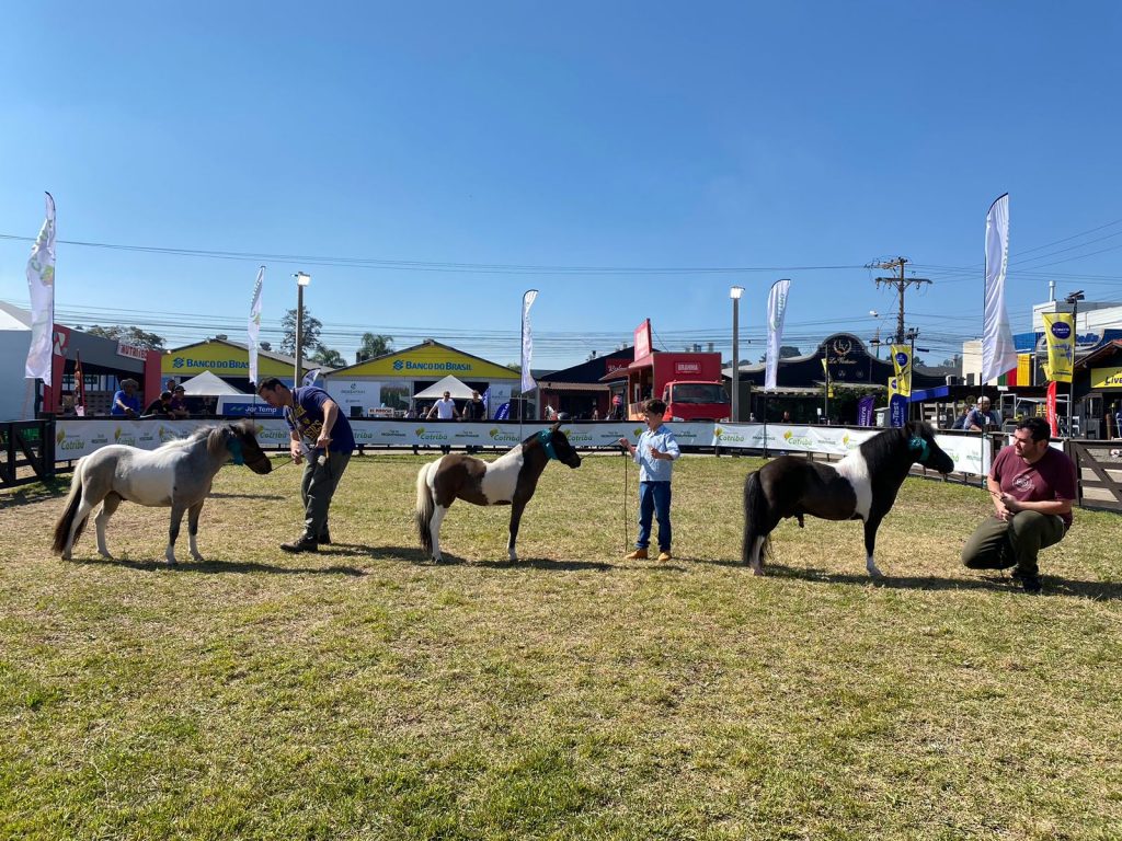 WhatsApp Image 2023-08-30 at 14.05.54