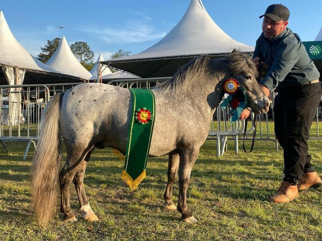 WhatsApp Image 2023-09-04 at 16.09.47