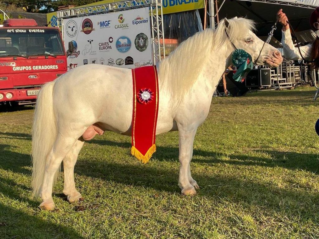 WhatsApp Image 2023-09-04 at 16.09.59