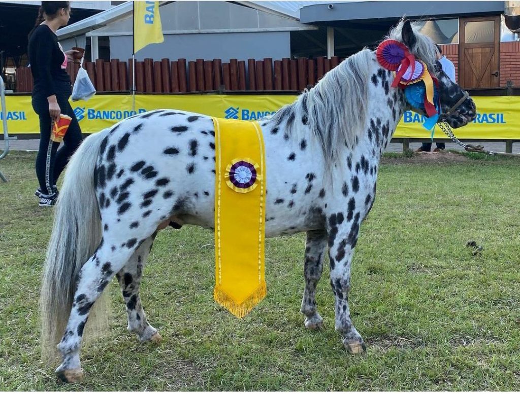 WhatsApp Image 2023-09-04 at 16.10.24