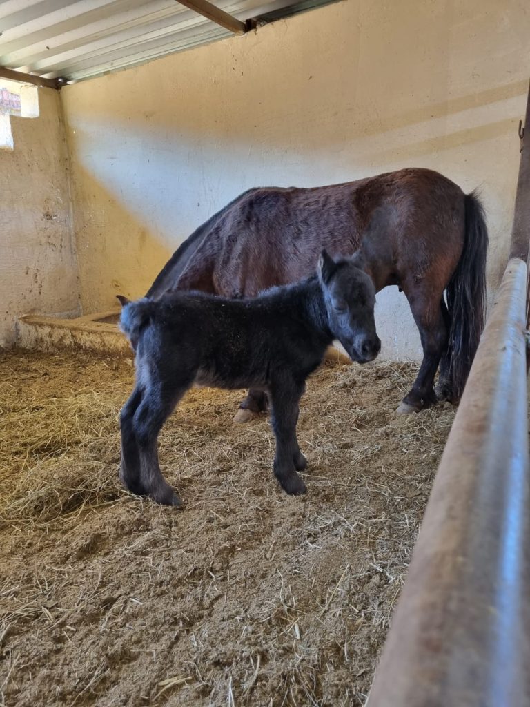 WhatsApp Image 2023-09-12 at 15.28.29