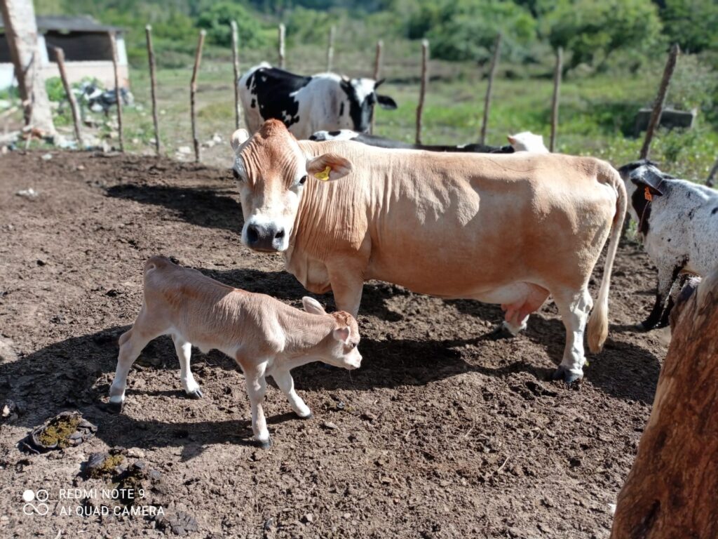 WhatsApp Image 2023-09-19 at 17.31.26