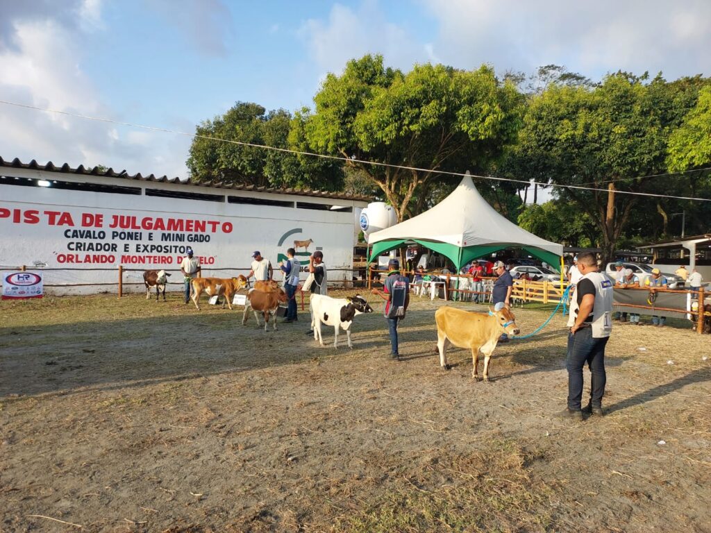 WhatsApp Image 2023-09-19 at 17.31.27 (1)