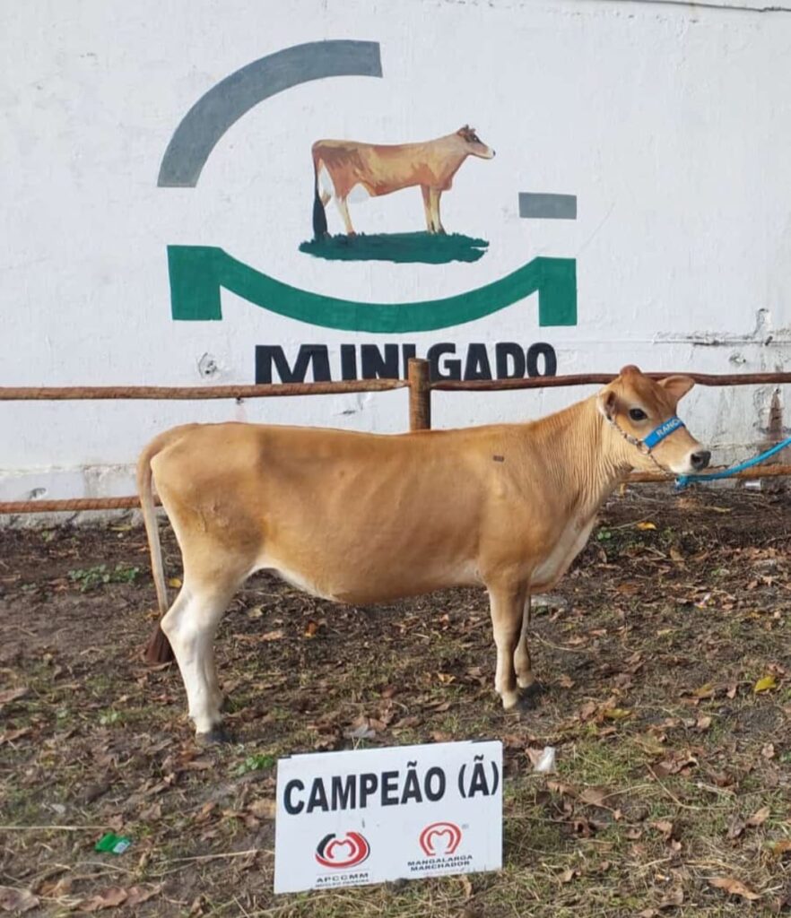 WhatsApp Image 2023-09-19 at 17.31.27 (2)