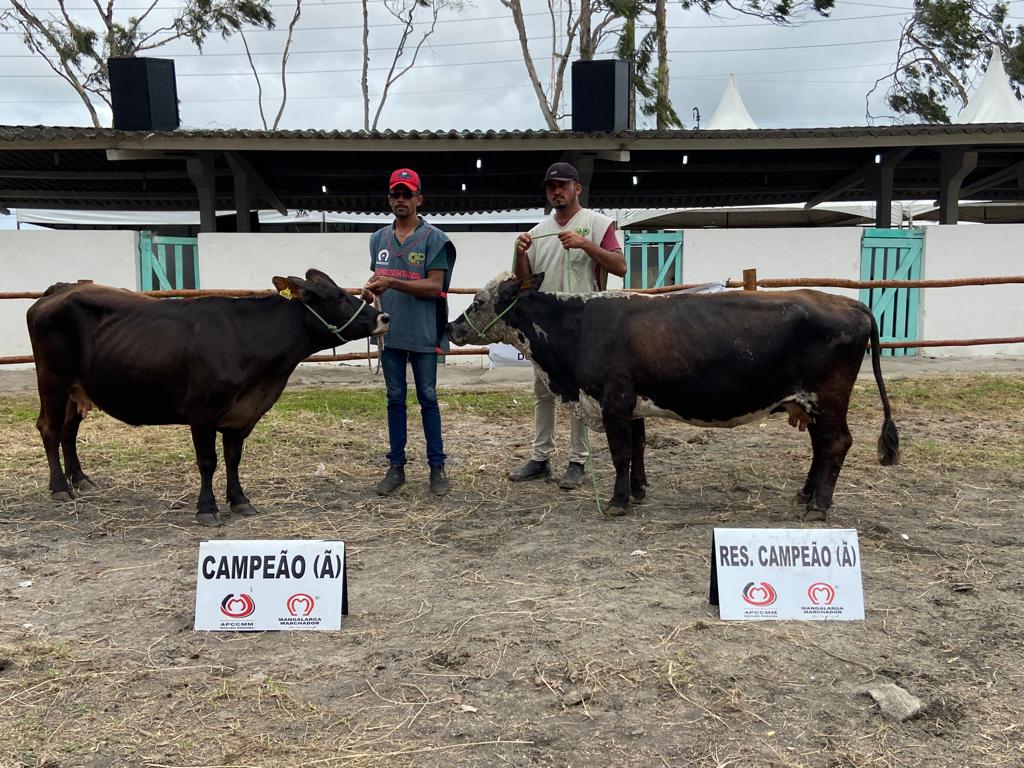 WhatsApp Image 2023-09-19 at 20.52.27 (1)