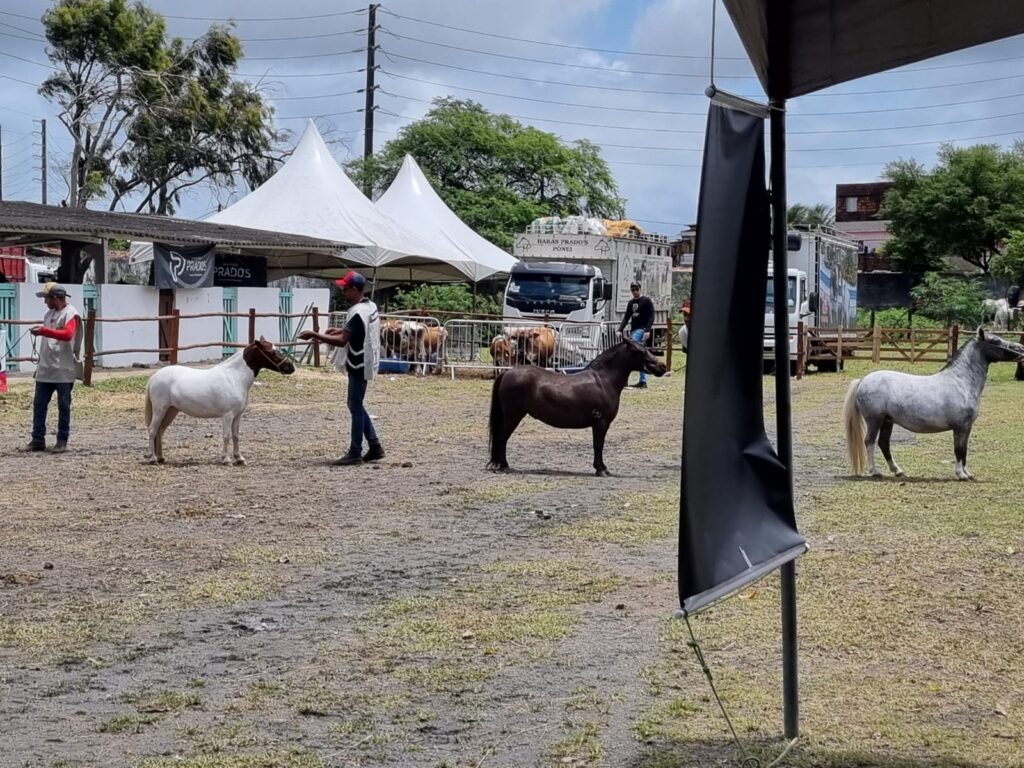 WhatsApp Image 2023-09-21 at 11.16.42 (1)