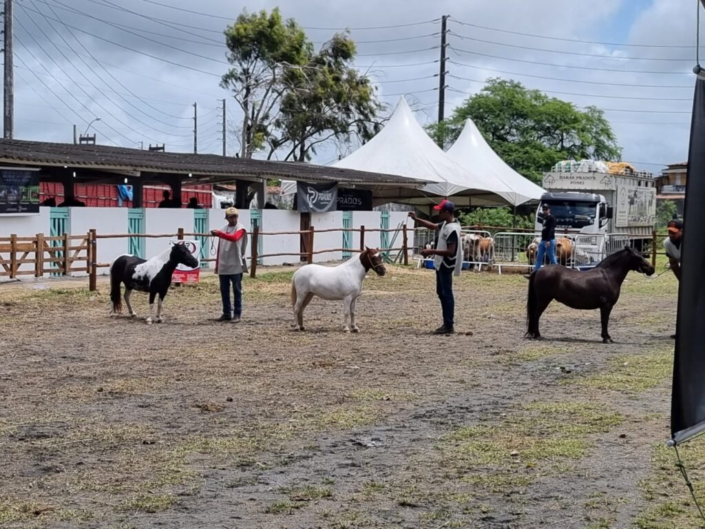 WhatsApp Image 2023-09-21 at 11.16.42 (2)