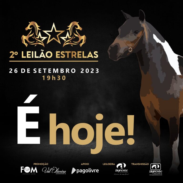 WhatsApp Image 2023-09-26 at 08.57.53