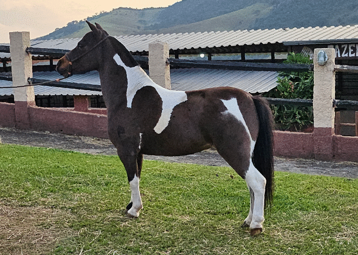 imagem_2023-09-01_102357337