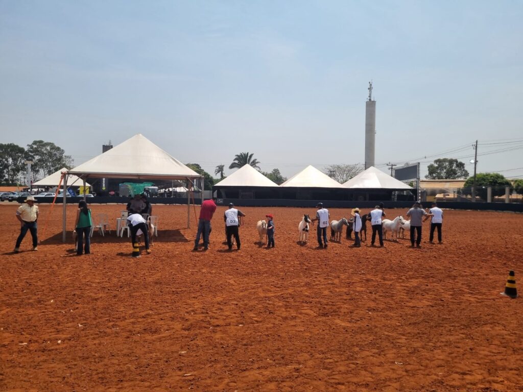 WhatsApp Image 2023-09-29 at 12.18.43 (1)