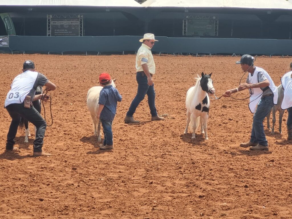 WhatsApp Image 2023-09-29 at 12.18.43