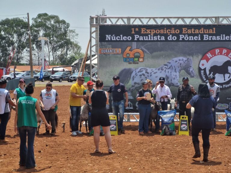 WhatsApp Image 2023-09-29 at 12.18.44