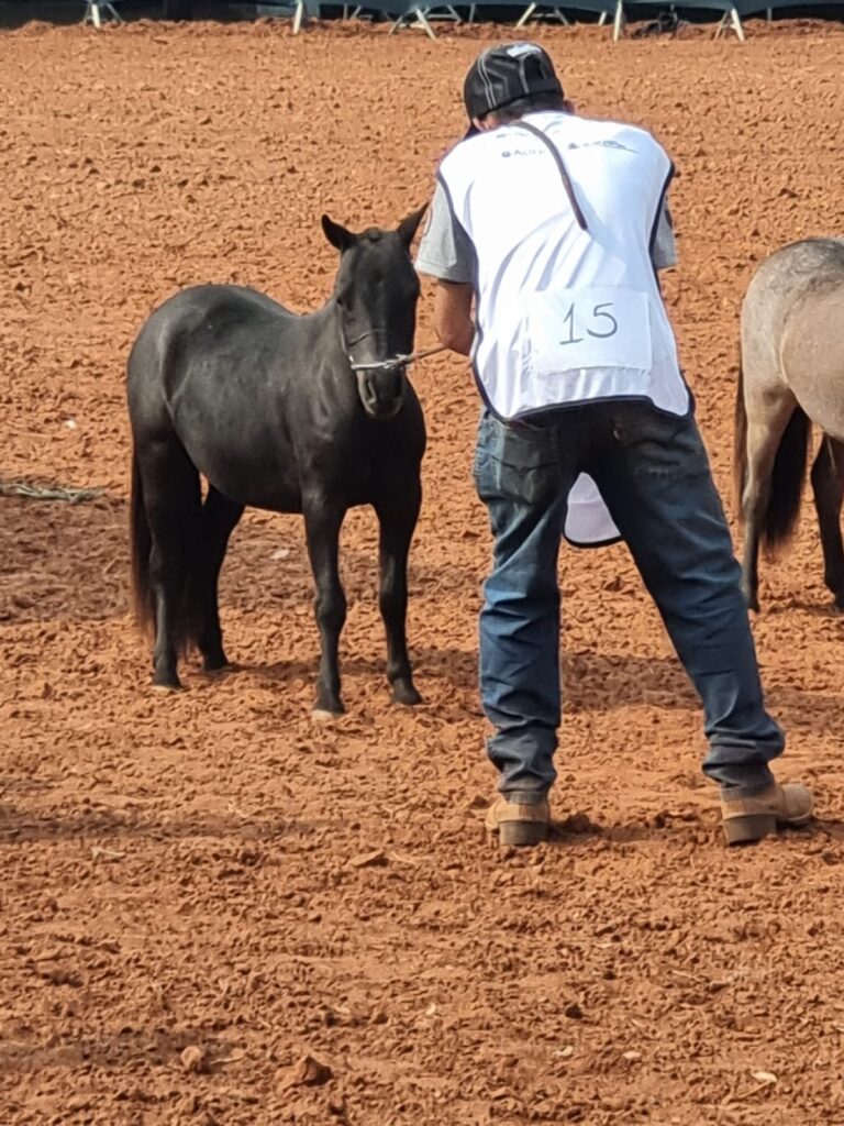 WhatsApp Image 2023-10-02 at 16.33.59