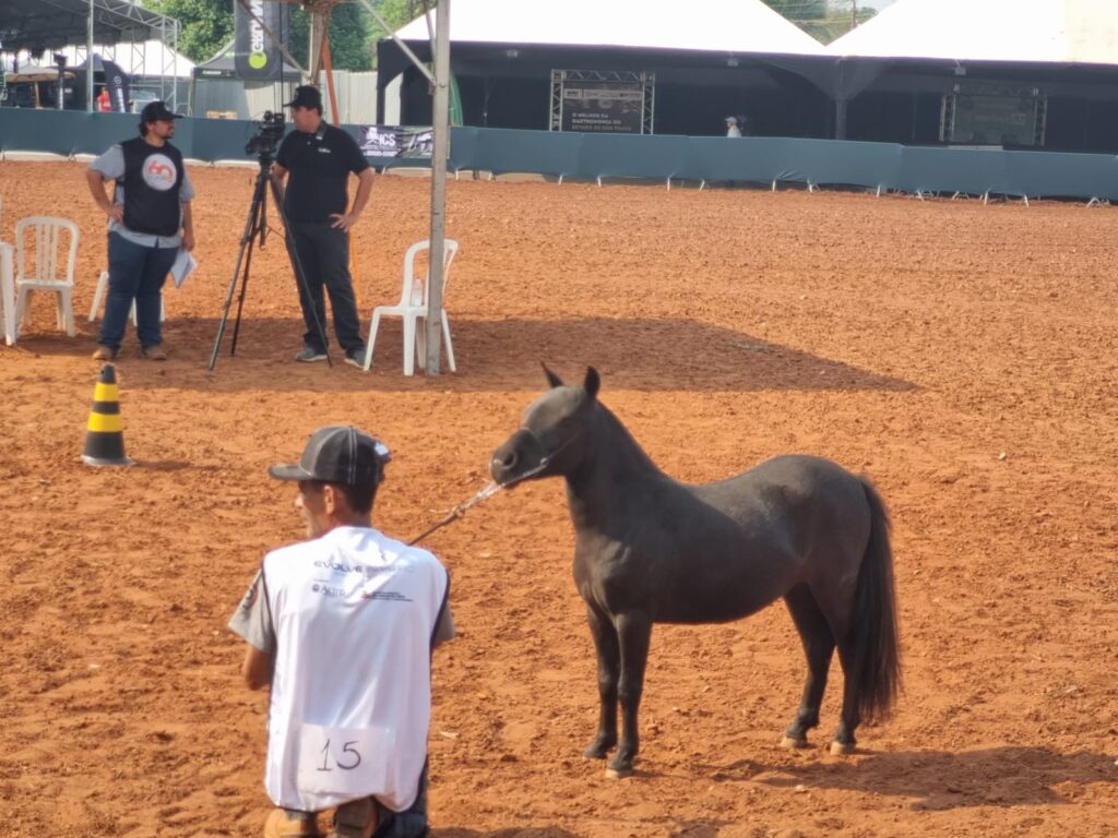 WhatsApp Image 2023-10-02 at 16.34.01