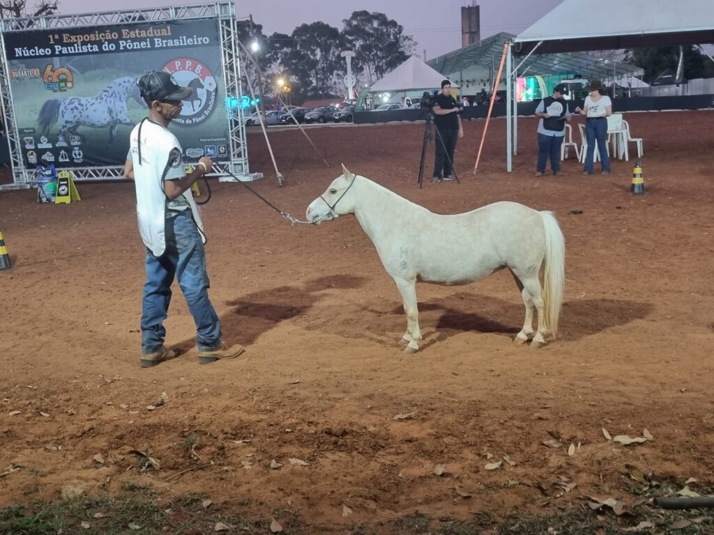 WhatsApp Image 2023-10-02 at 16.34.02