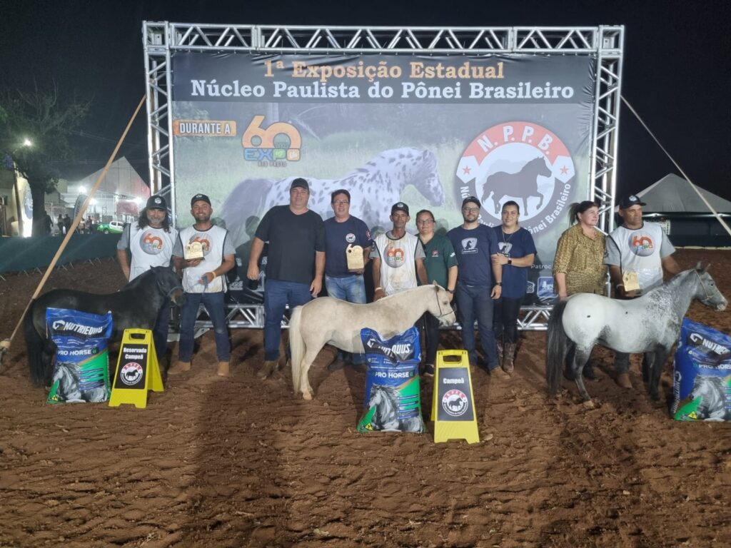 WhatsApp Image 2023-10-02 at 16.34.03