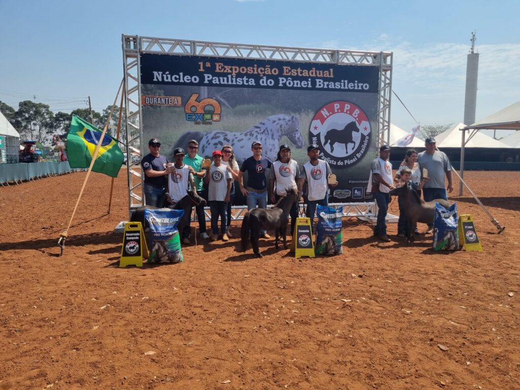 WhatsApp Image 2023-10-02 at 16.34.04