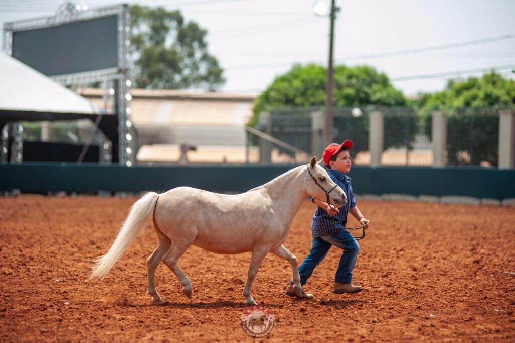 WhatsApp Image 2023-10-02 at 19.41.04 (1)