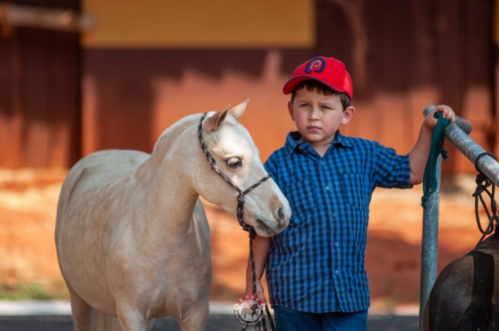 WhatsApp Image 2023-10-02 at 19.41.04