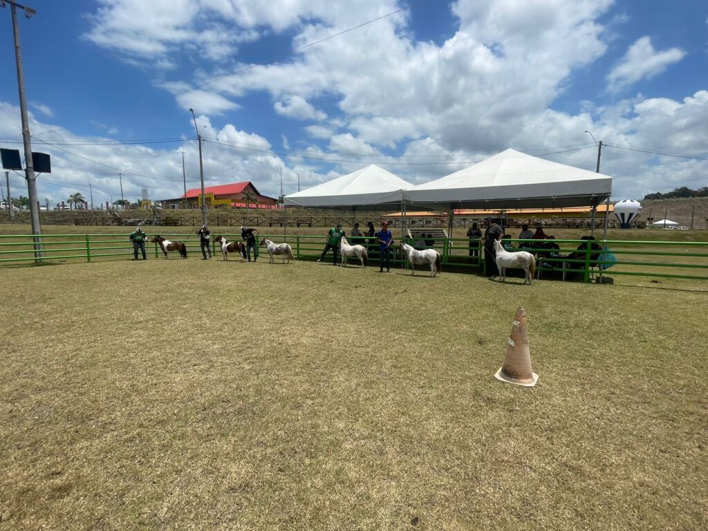 WhatsApp Image 2023-10-06 at 13.04.56 (1)