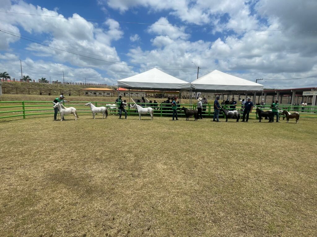 WhatsApp Image 2023-10-06 at 13.04.56