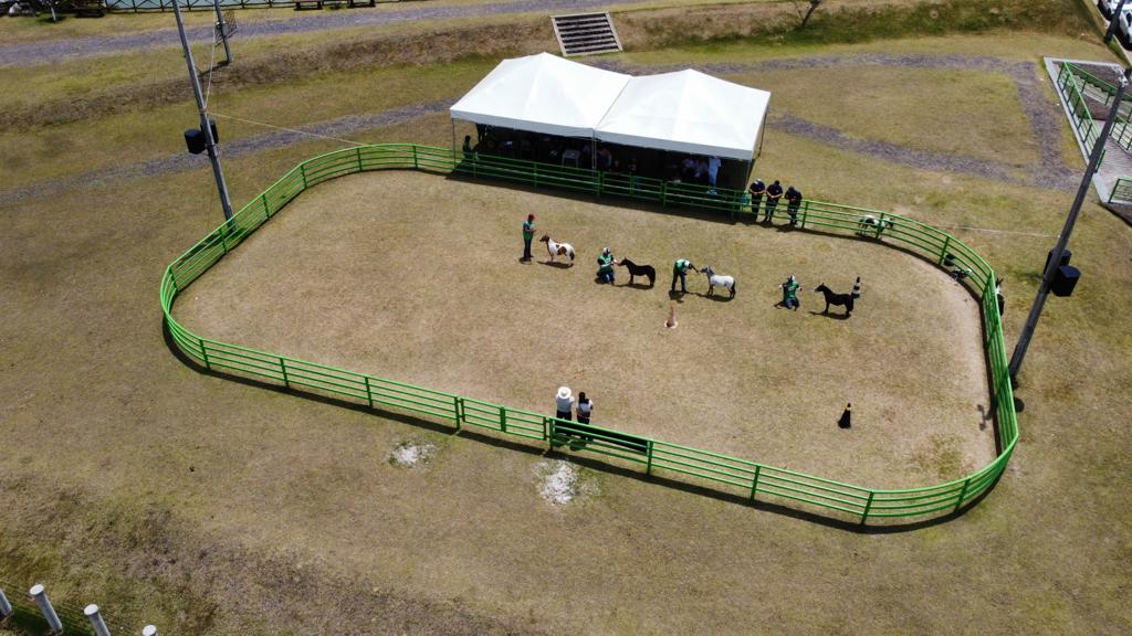 WhatsApp Image 2023-10-06 at 13.04.57 (1)