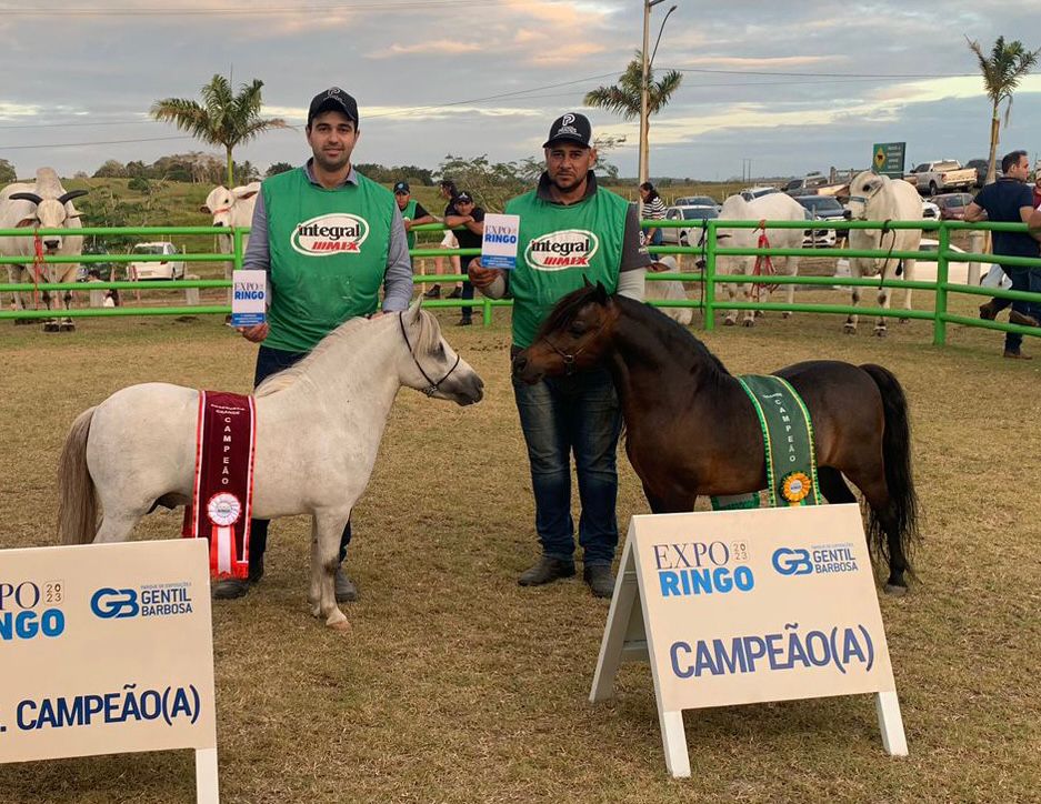 WhatsApp Image 2023-10-09 at 16.59.20