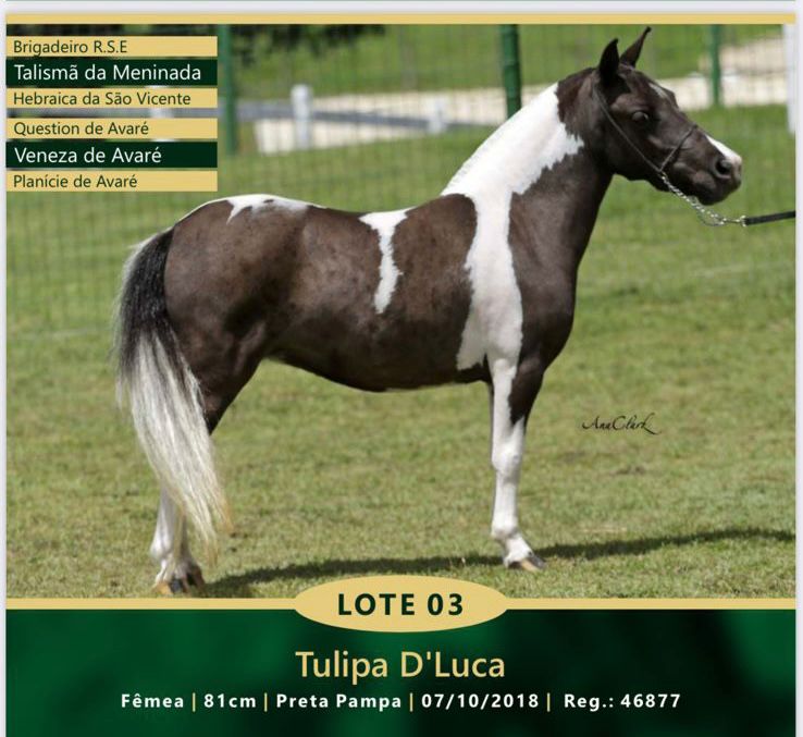 WhatsApp Image 2023-10-10 at 09.04.15