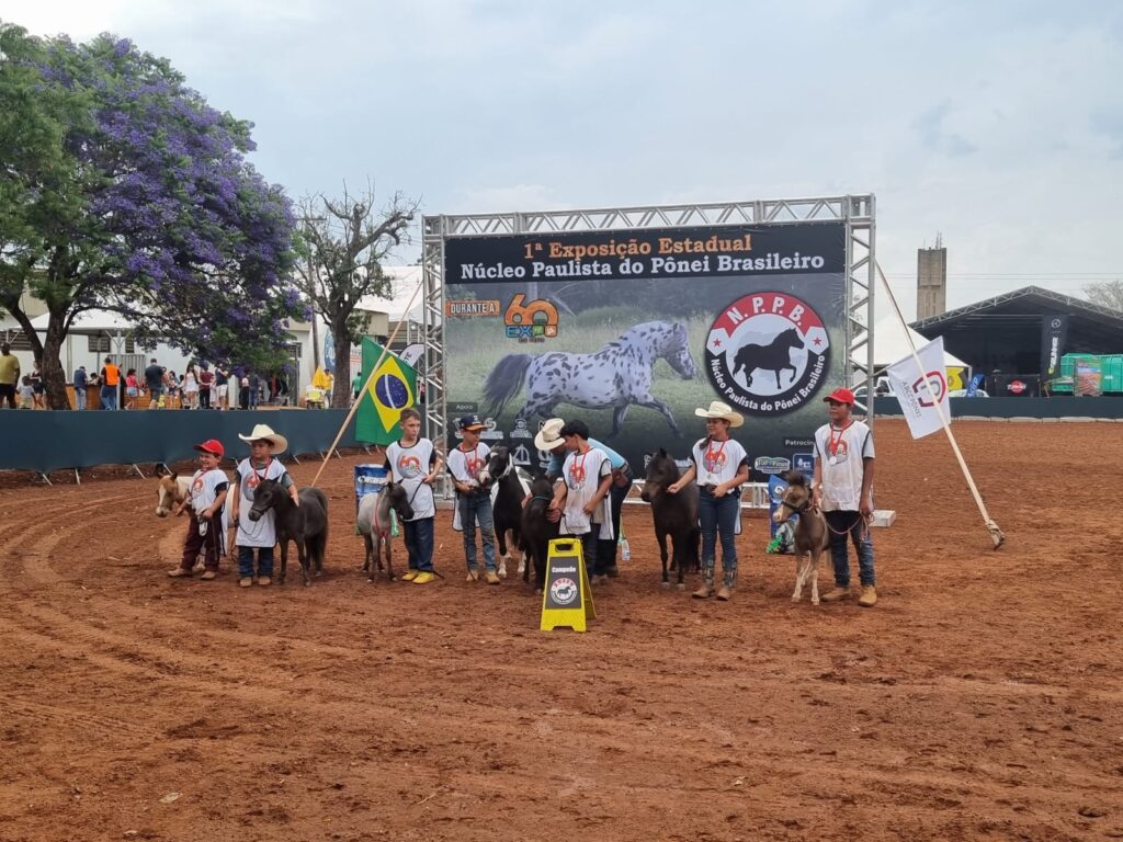 WhatsApp Image 2023-10-12 at 09.54.27