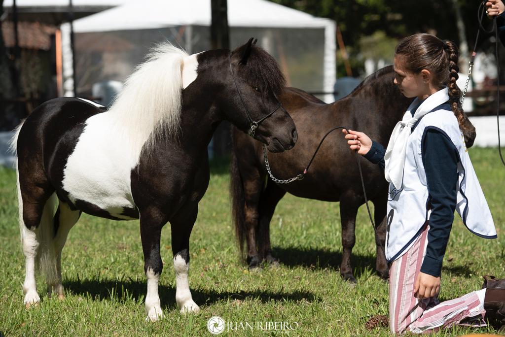 WhatsApp Image 2023-10-17 at 10.12.26