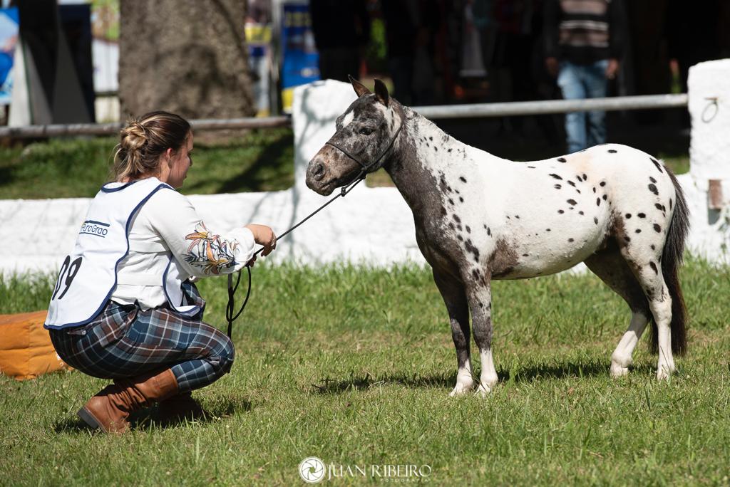 WhatsApp Image 2023-10-17 at 10.12.27 (1)