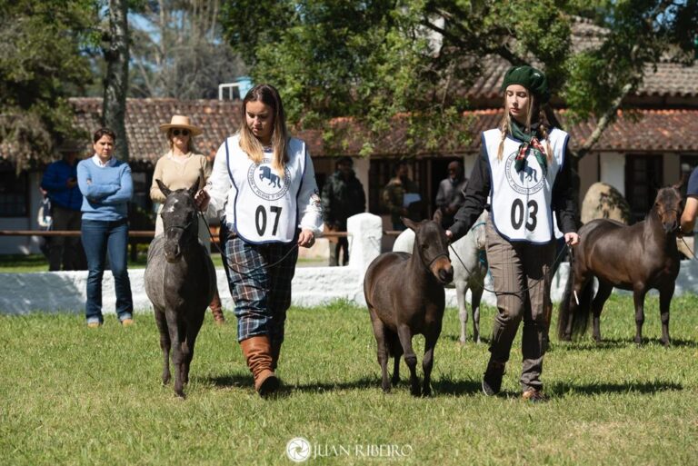 WhatsApp Image 2023-10-17 at 10.12.27