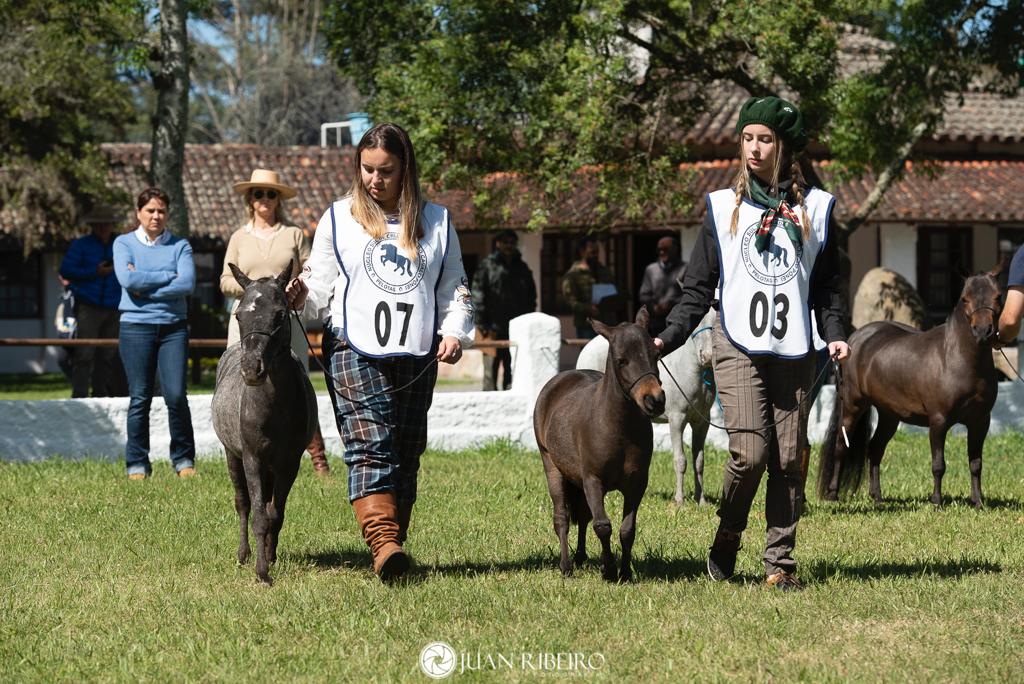 WhatsApp Image 2023-10-17 at 10.12.27