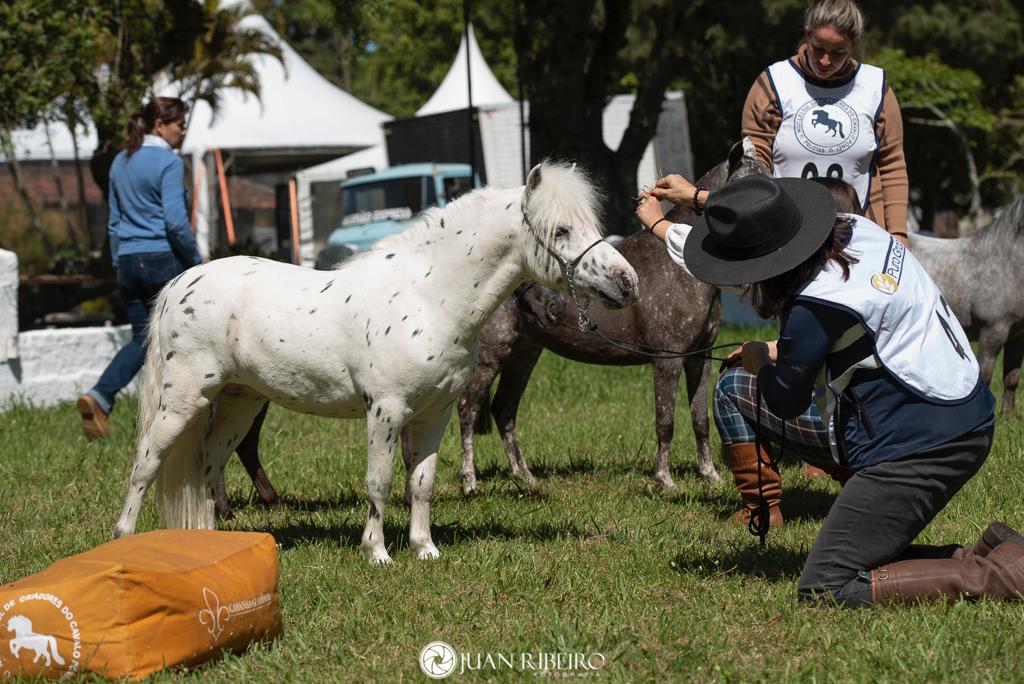 WhatsApp Image 2023-10-17 at 10.12.51 (1)