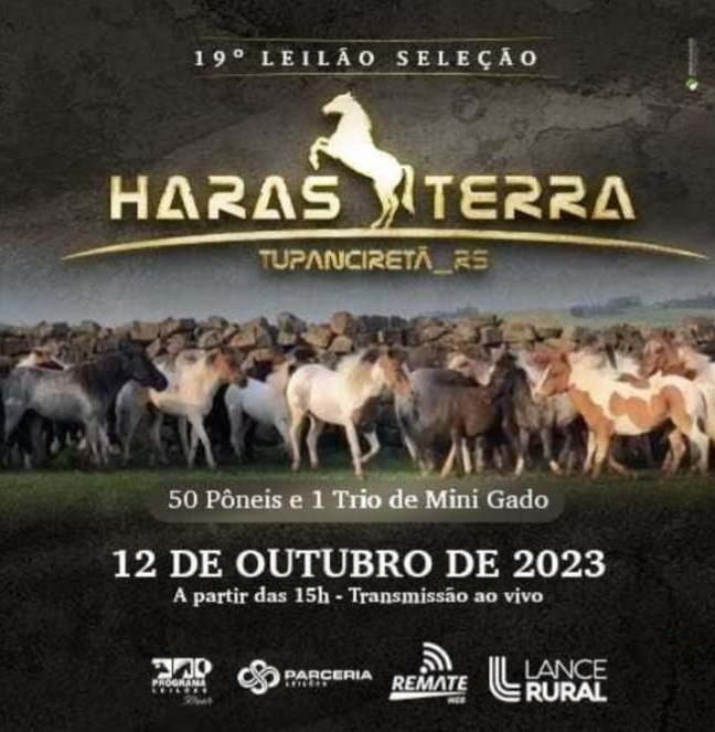 WhatsApp Image 2023-10-17 at 10.34.54