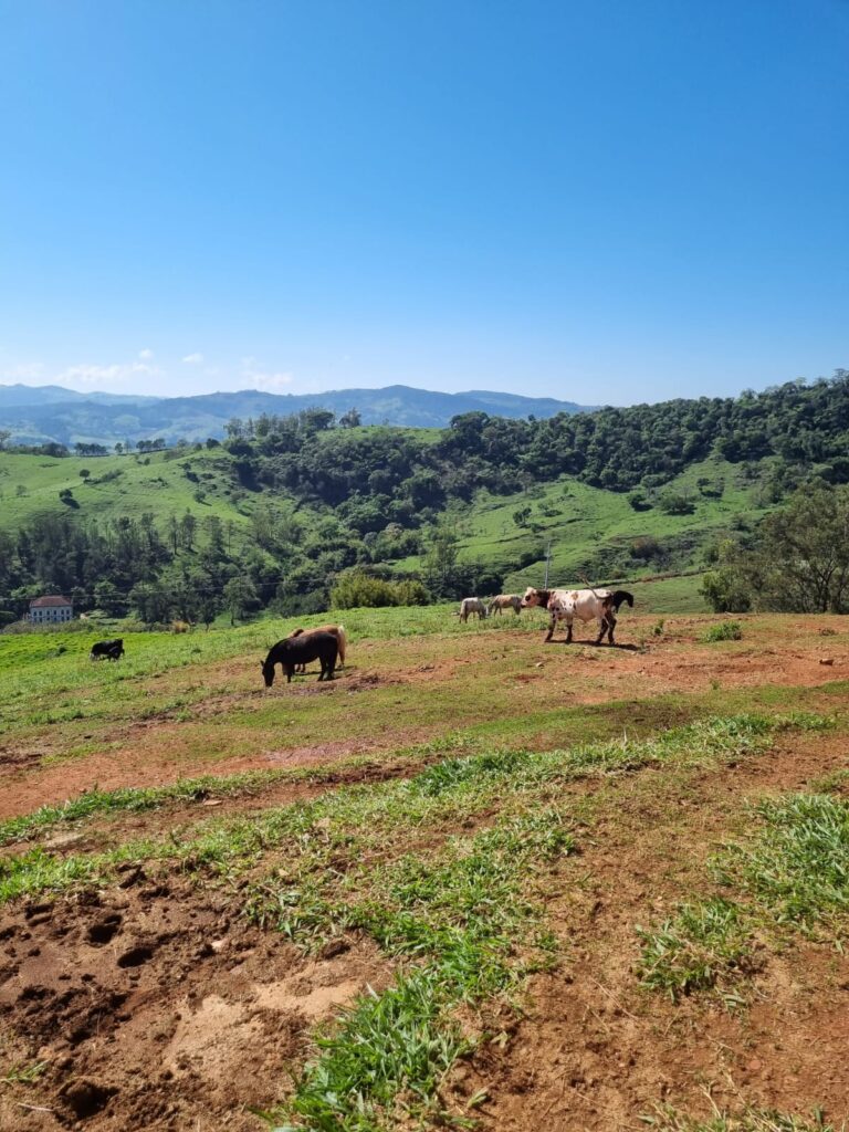 WhatsApp Image 2023-10-20 at 16.17.37 (1)