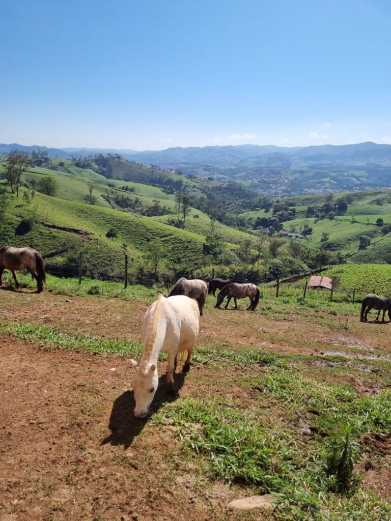 WhatsApp Image 2023-10-20 at 16.17.37 (2)