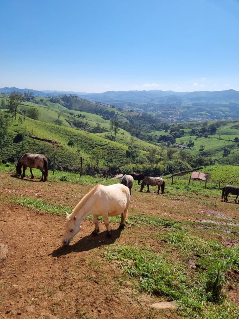 WhatsApp Image 2023-10-20 at 16.17.37