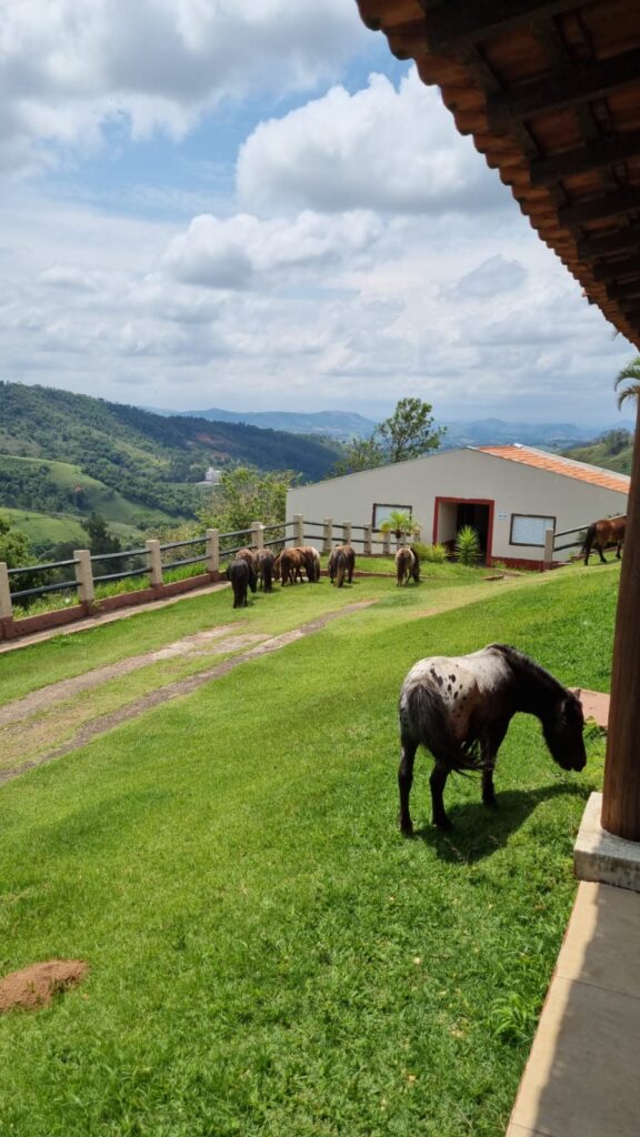 WhatsApp Image 2023-10-20 at 16.17.38