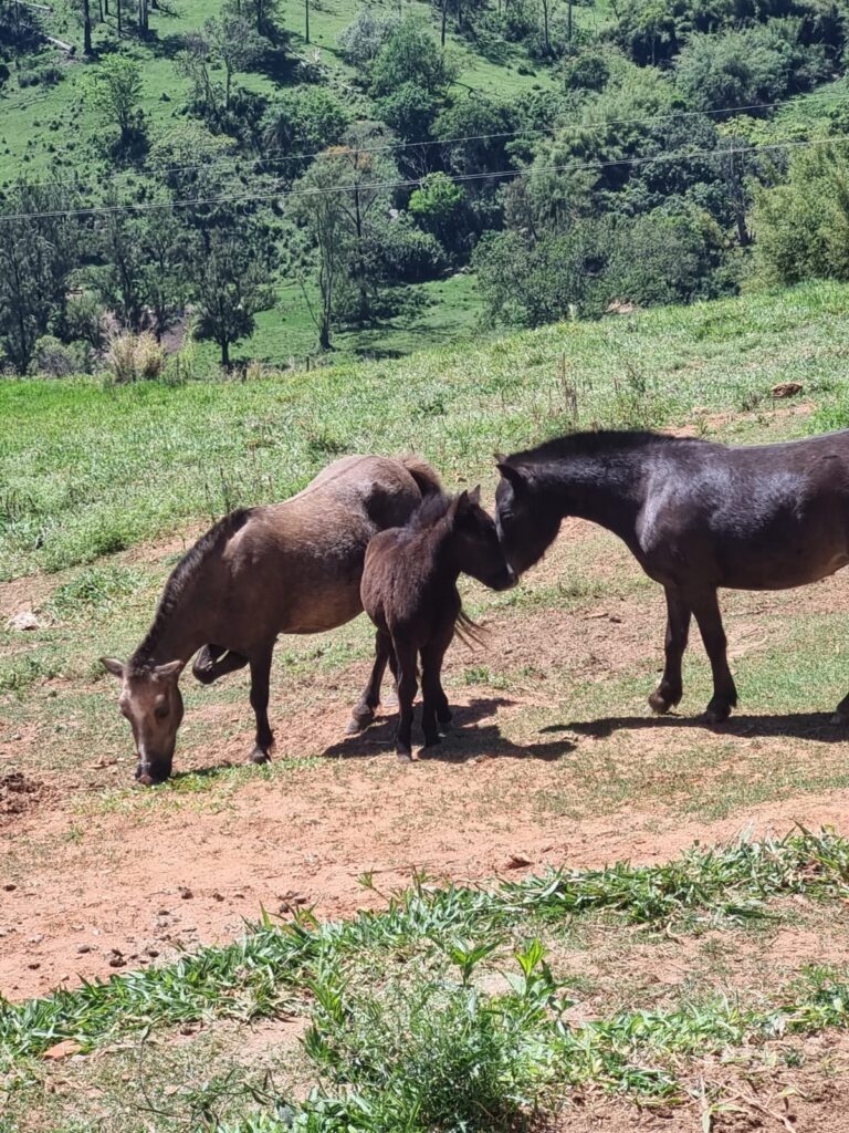 WhatsApp Image 2023-10-23 at 18.35.16 (1)