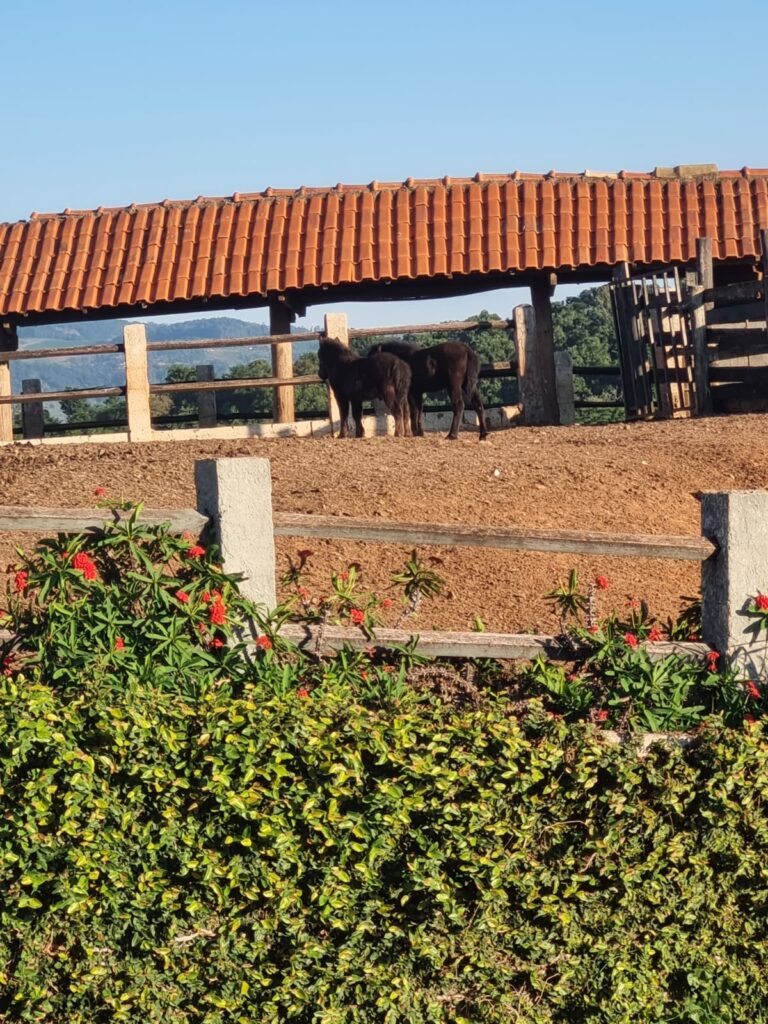 WhatsApp Image 2023-10-23 at 18.35.16 (2)