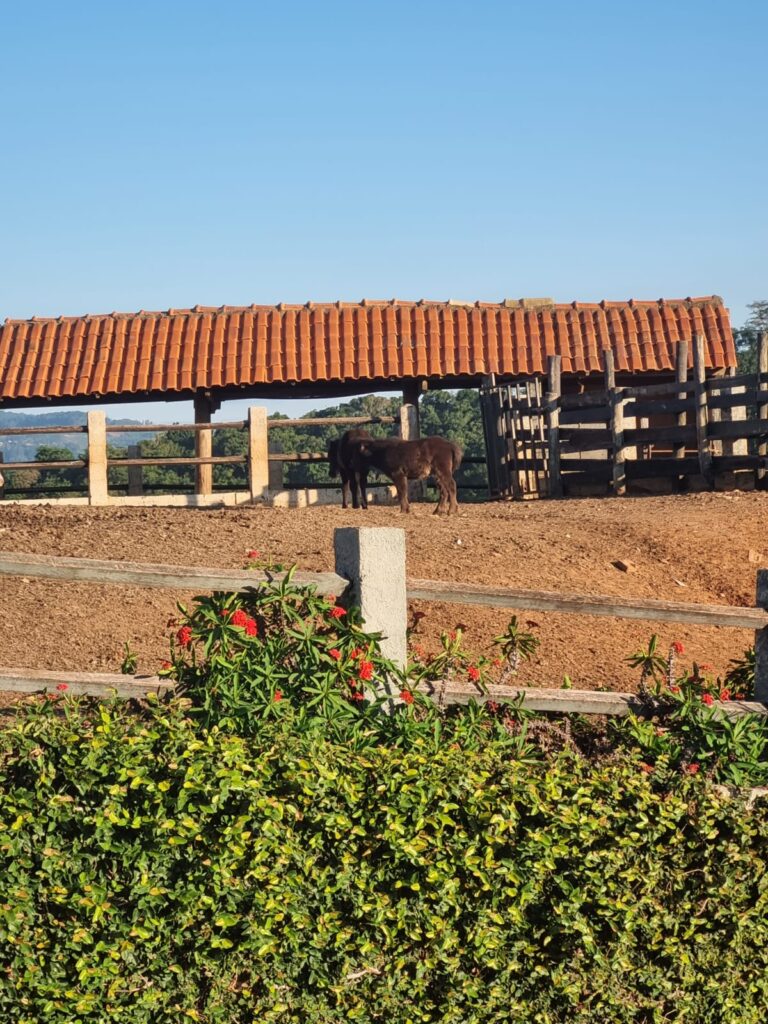 WhatsApp Image 2023-10-23 at 18.35.16 (3)